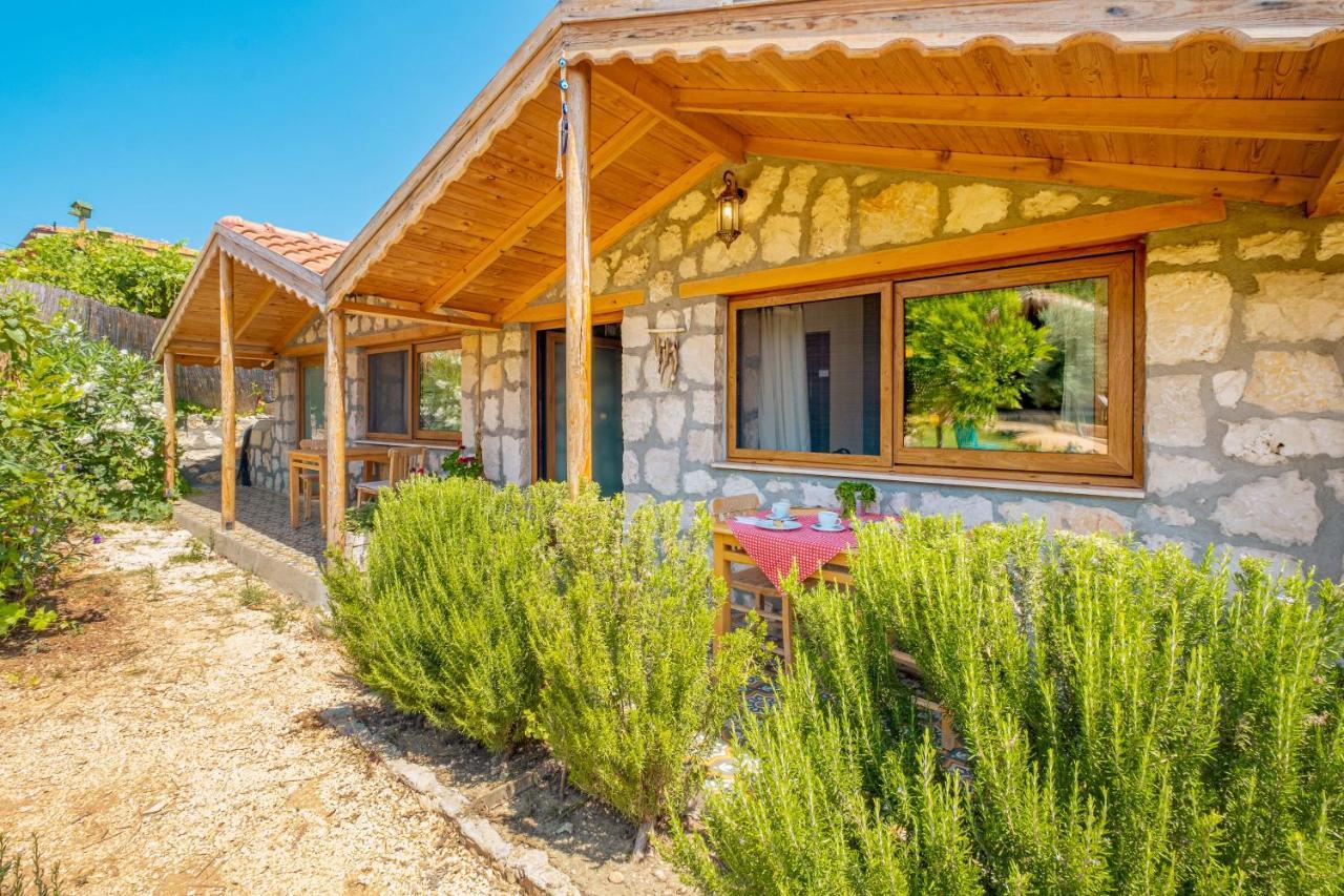אתר קמפינג Joy Glamping קס
