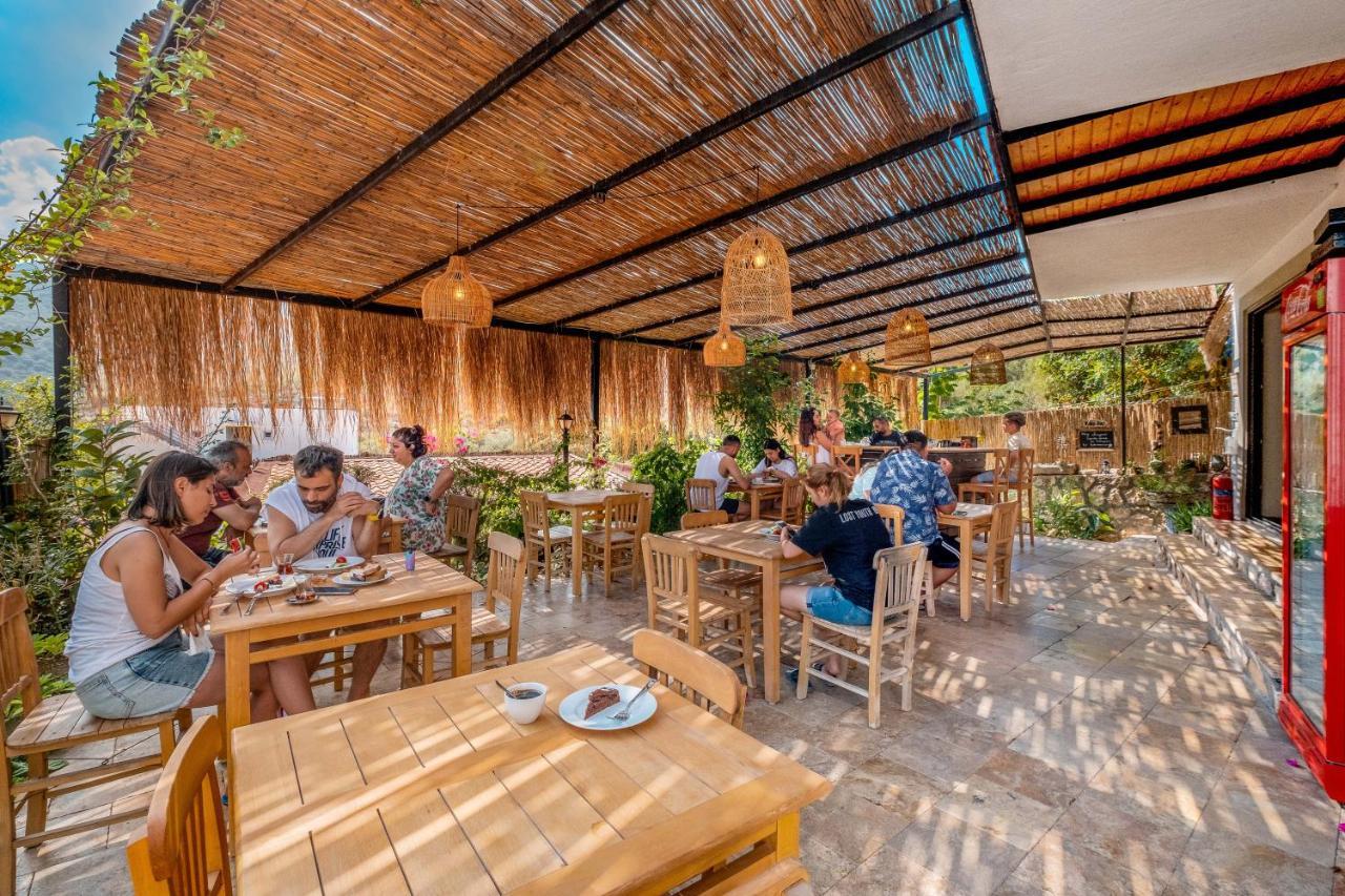 Joy Glamping אתר קמפינג קס