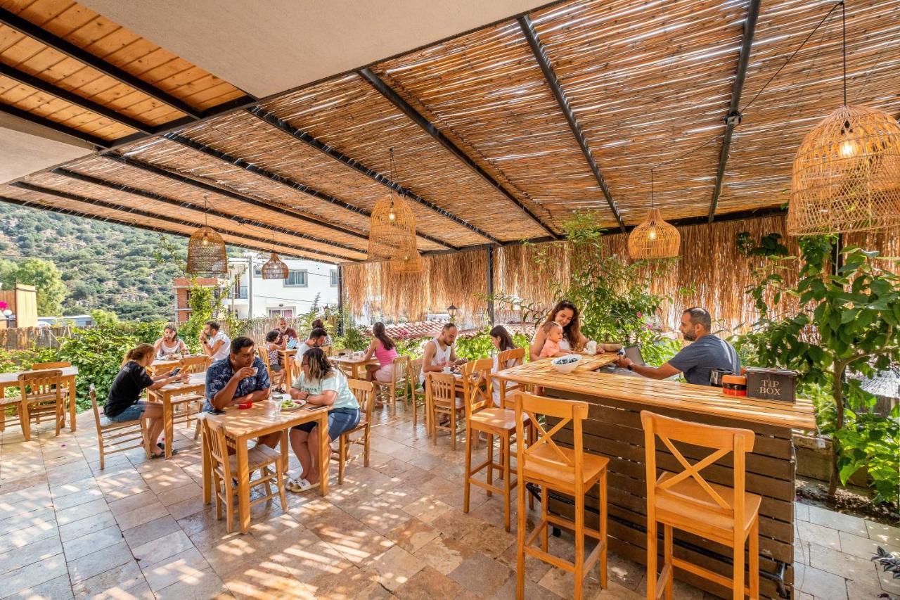 Joy Glamping אתר קמפינג קס
