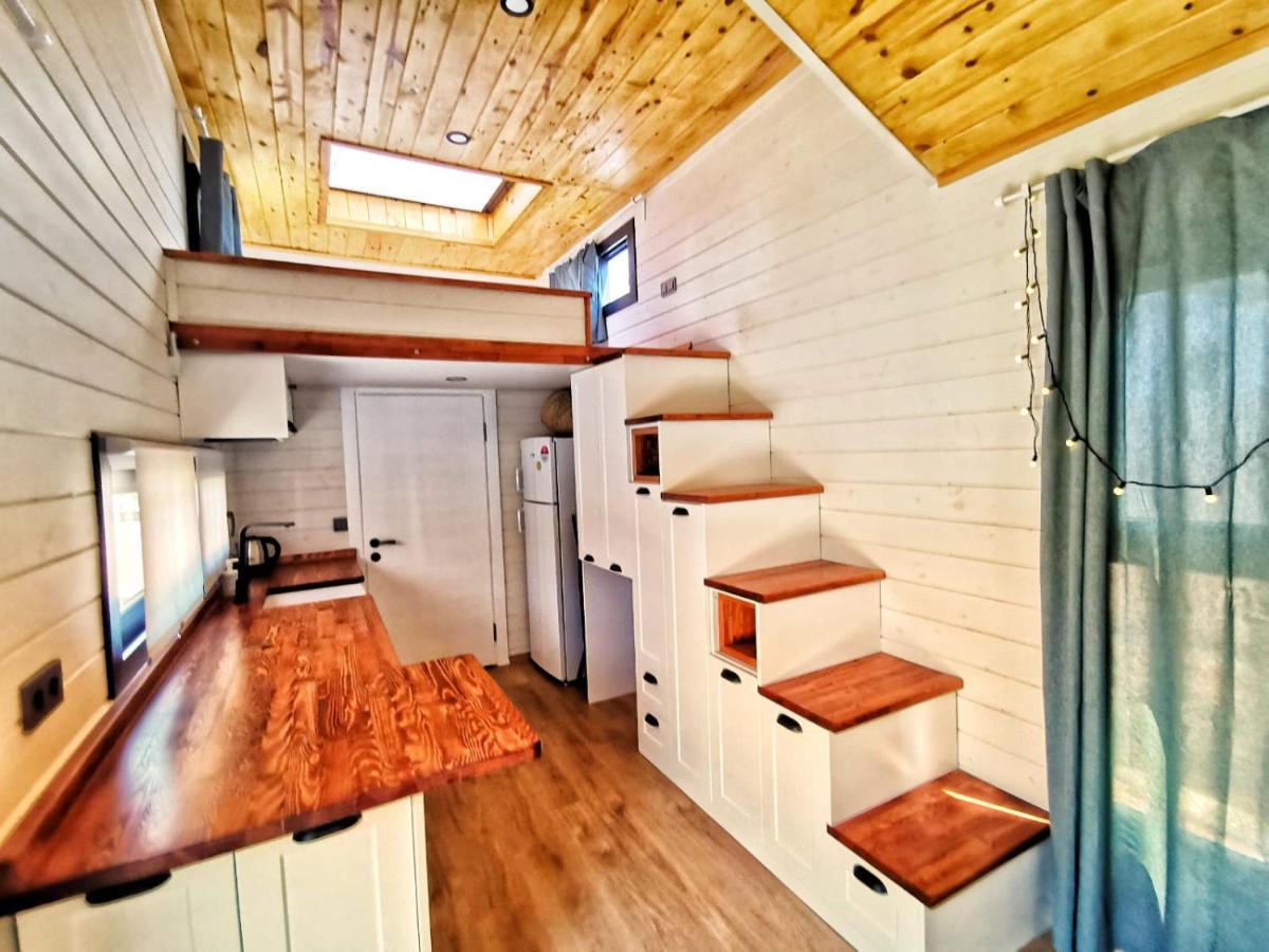Joy Glamping אתר קמפינג קס