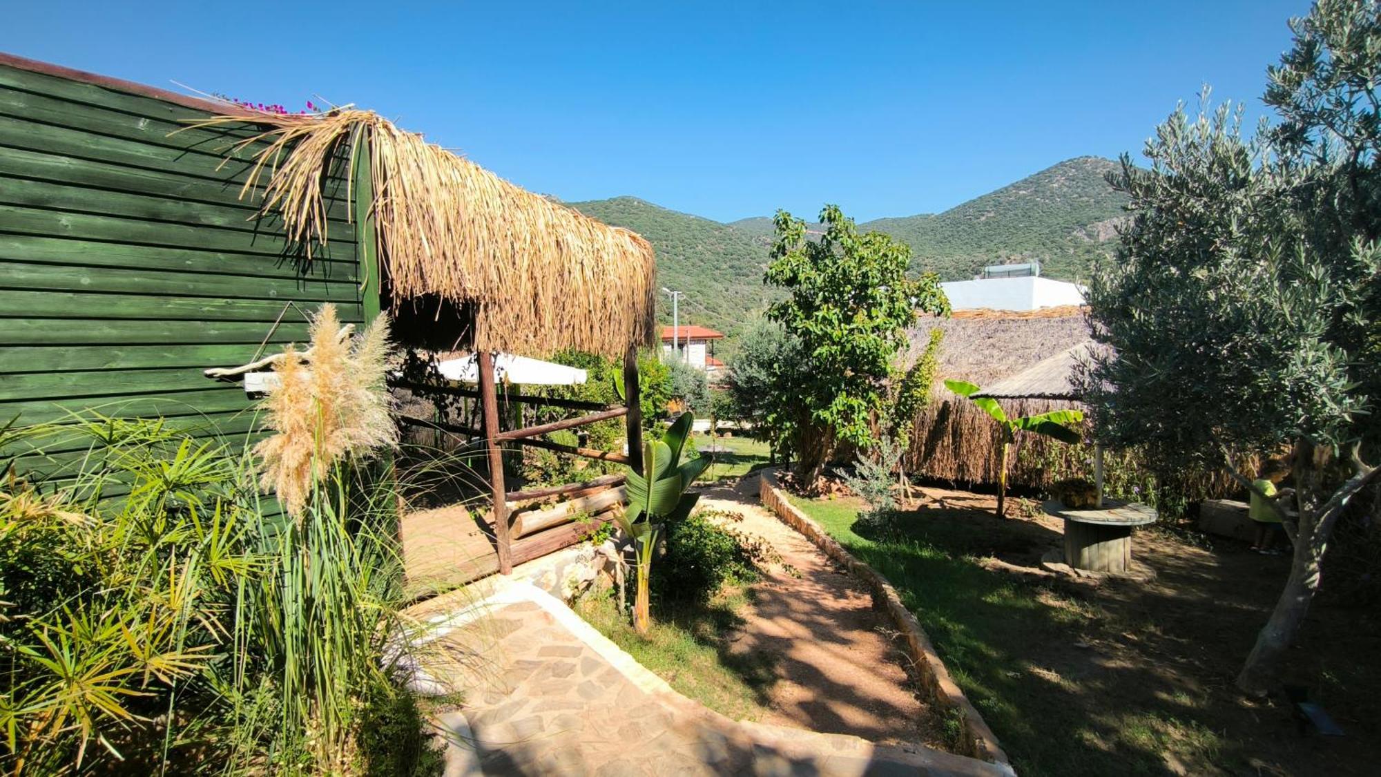 Joy Glamping אתר קמפינג קס
